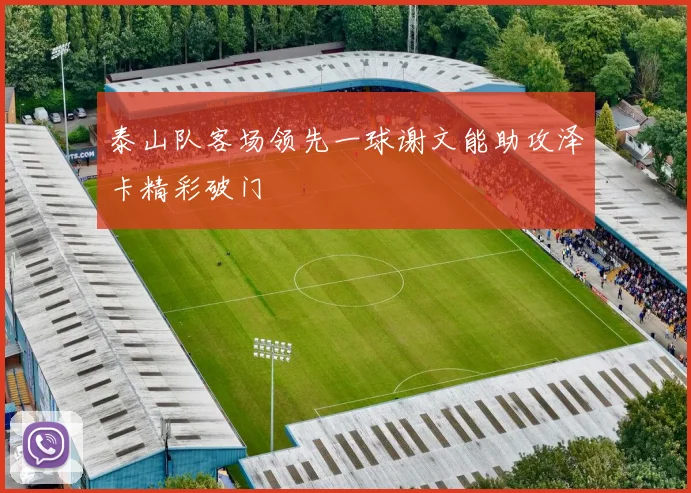 泰山队客场领先一球谢文能助攻泽卡精彩破门