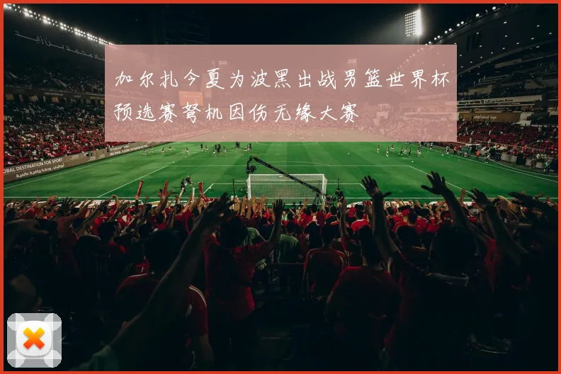 加尔扎今夏为波黑出战男篮世界杯预选赛弩机因伤无缘大赛